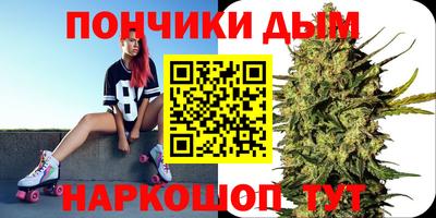 шишки Гай