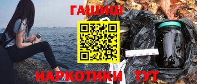 шишки Гай