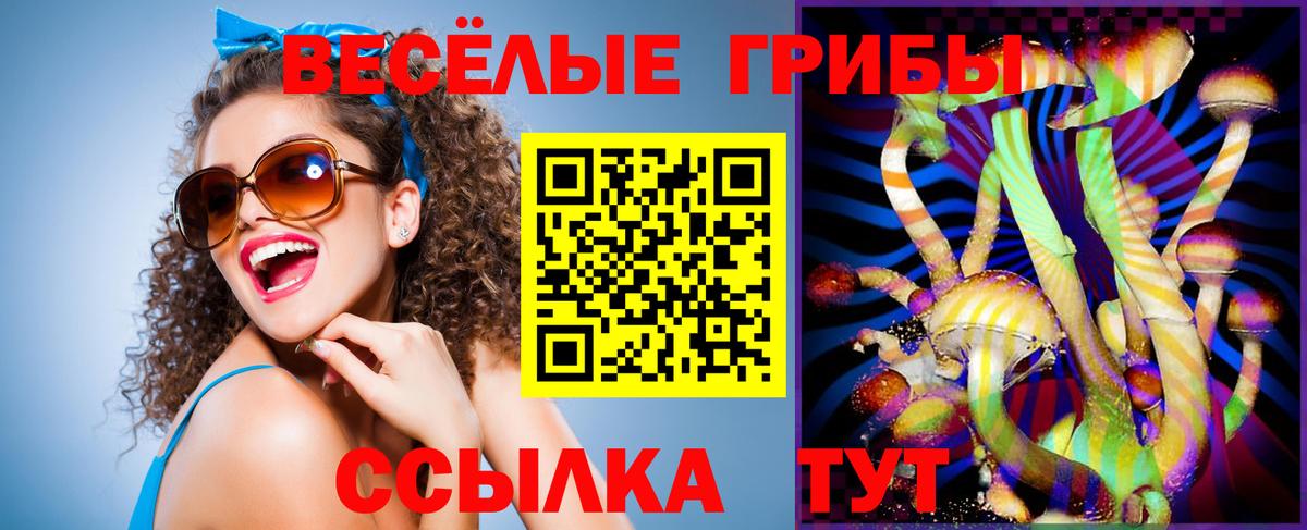 Шарыпово  Галлюциногенные грибы GOLDEN TEACHER  Вход с VPN 
